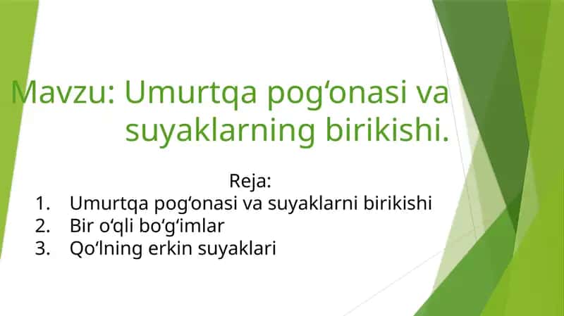 Umurtqa pog‘onasi va suyaklarning birikishi