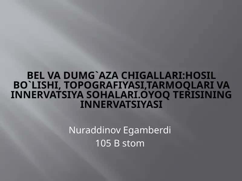 Belvadumg`azachigallari:hosilbo`lishi,topografiyasi,tarmoqlarivainnervatsiyasohalari.Oyoqterisininginnervatsiyasi