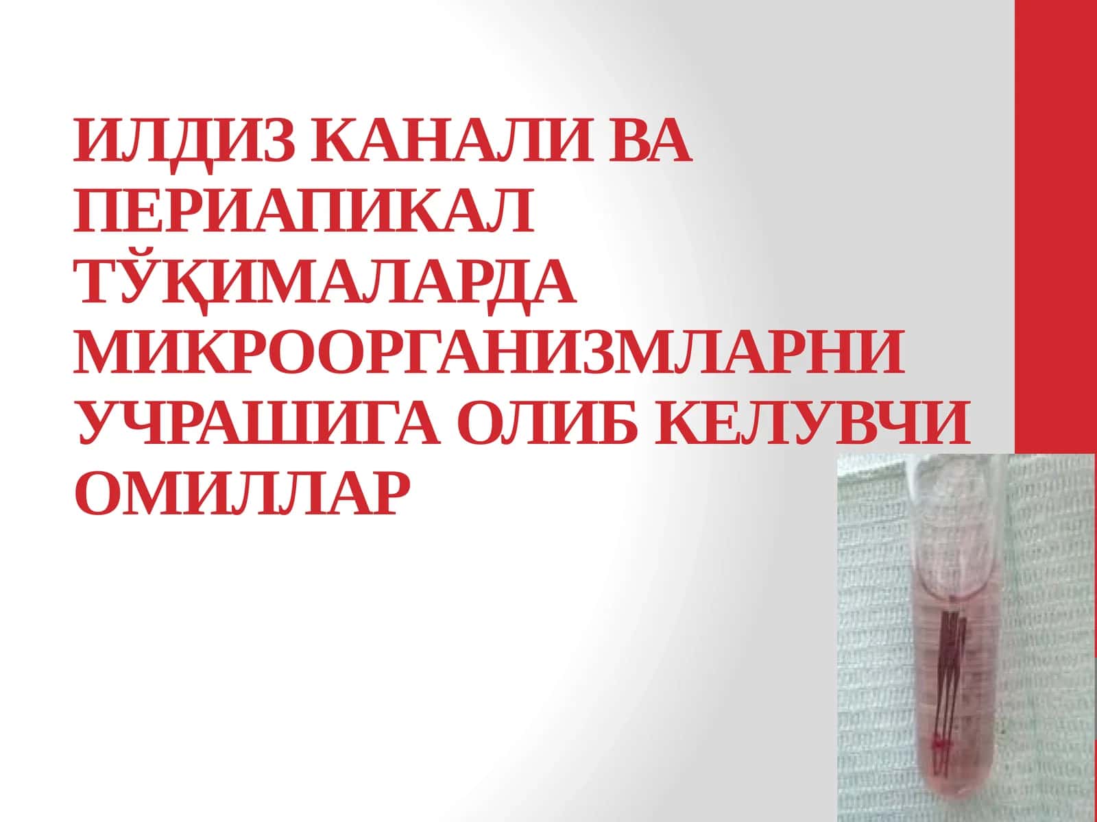 Илдиз канали ва периапикал тўқималарда микроорганизмларни учрашига олиб келувчи омиллар