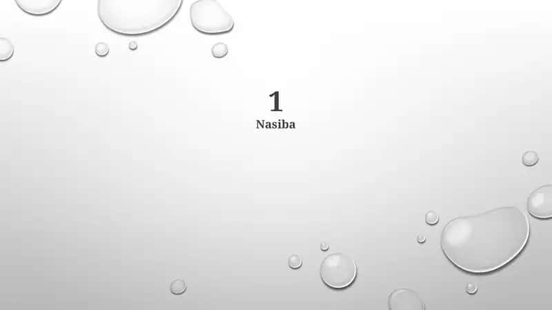 Nasiba