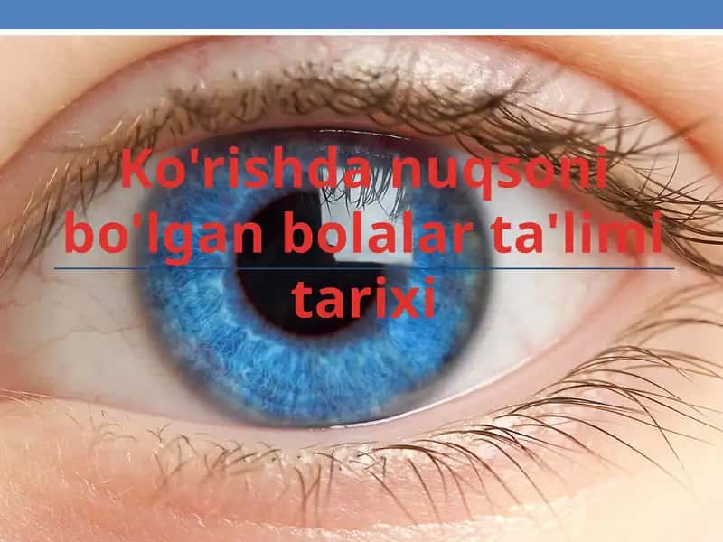 Ko'rishda nuqsoni bo'lgan bolalar ta'limi tarixi