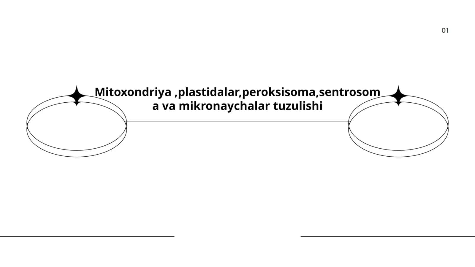 Mitoxondriyaning tuzilishi va funktsiyalari