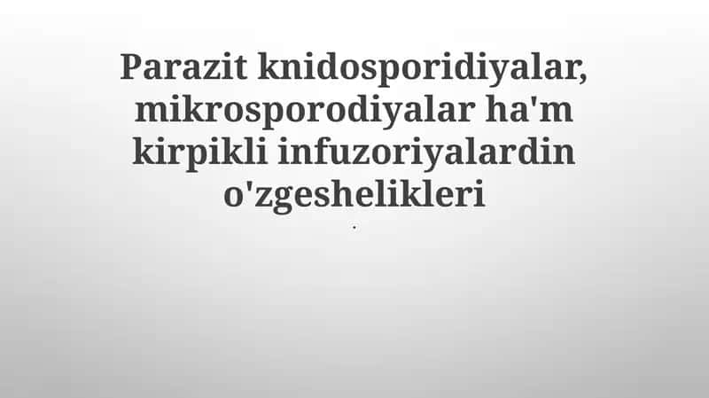 Kirpikli Infuzoriyalar