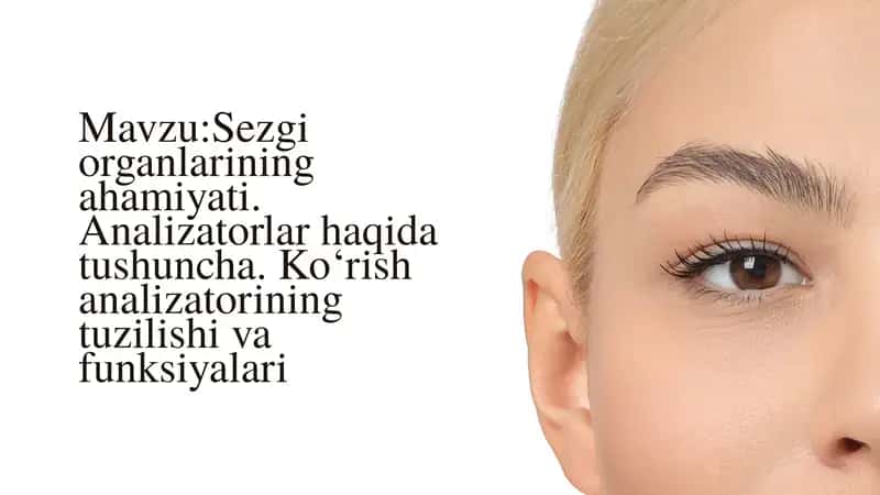 Sezgi organlarining ahamiyati.