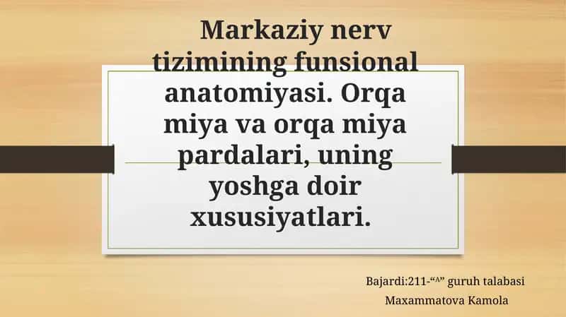 Markaziynervtizimi haqida qisqacha