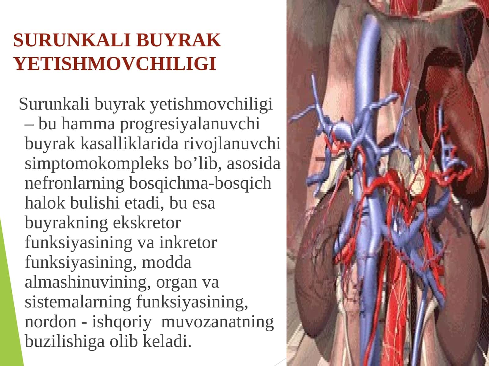 SURUNKALI BUYRAKYETISHMOVCHILIGI