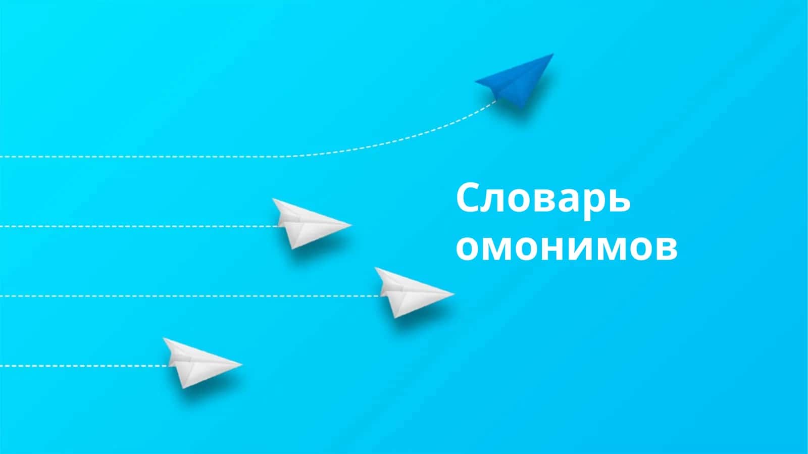 Словарь омонимов