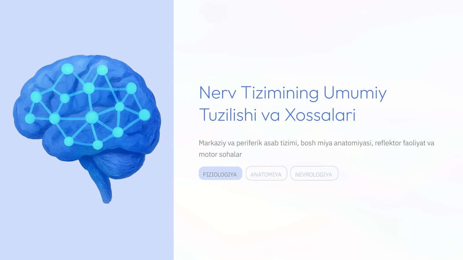 Nerv Tizimining Umumiy Tuzilishi va Xossalari