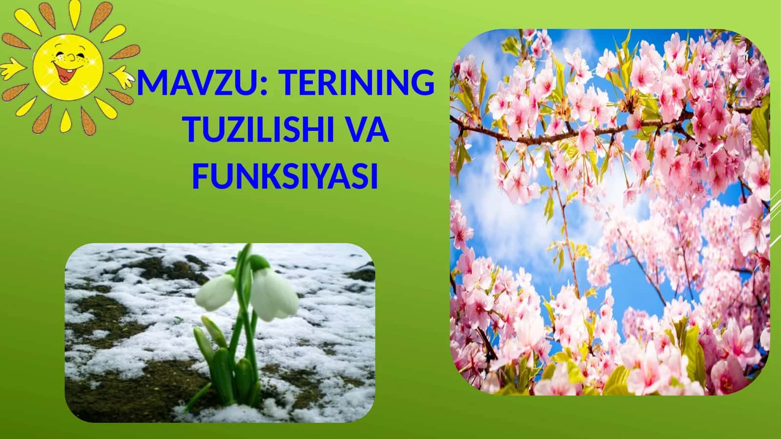 Terining tuzilishi