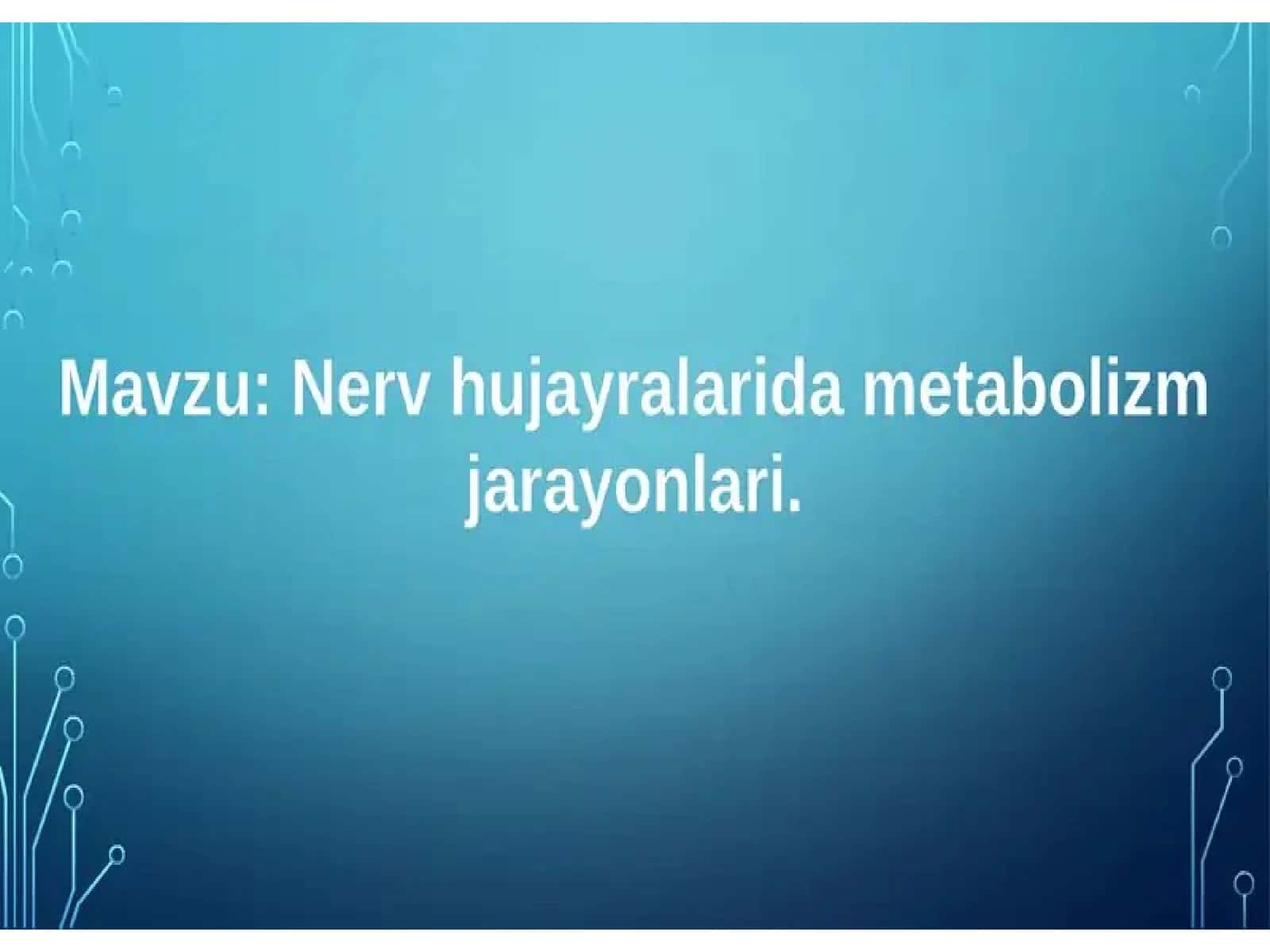 Nerv hujayralarida metabolizm jarayonlari