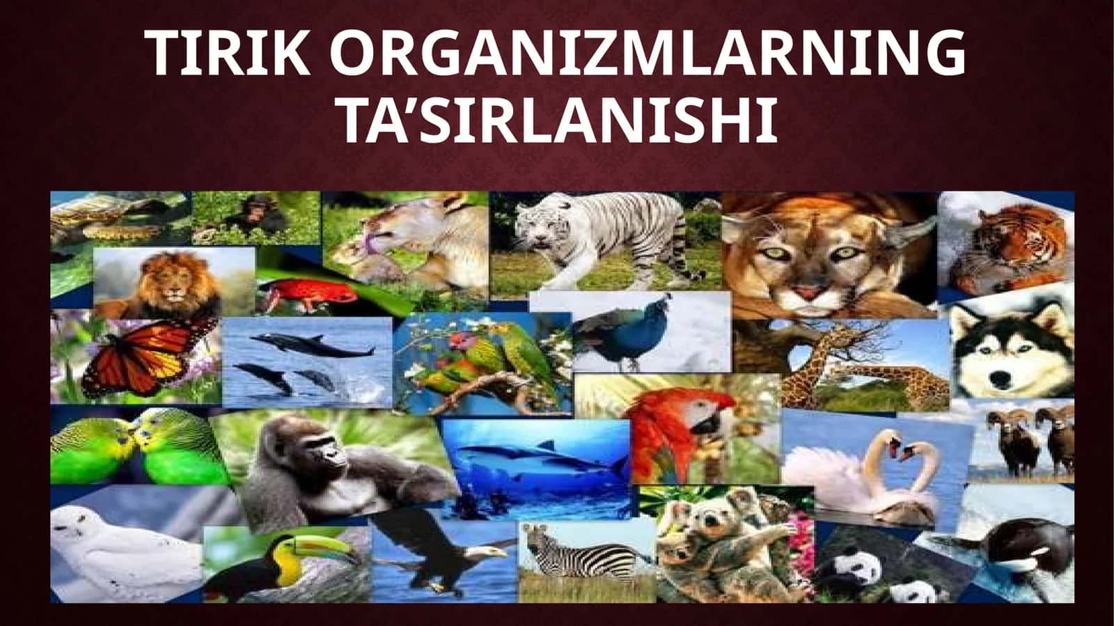 TIRIK ORGANIZMLARNINGTA’SIRLANISHI