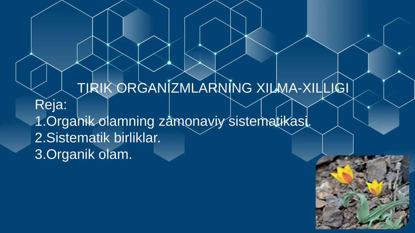 TIRIK ORGANIZMLARNING XILMA-XILLIGI