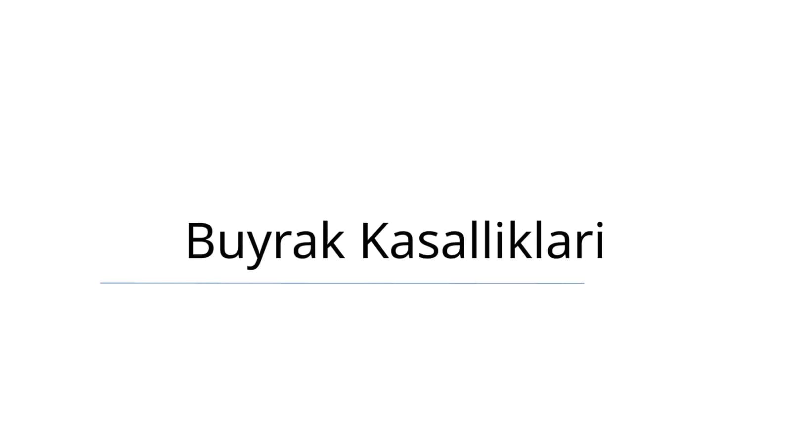Buyrak Kasalliklari