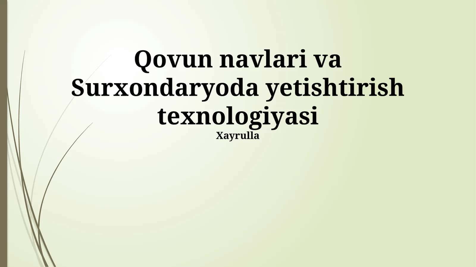Qovun navlari va Surxondaryoda yetishtirish texnologiyasi