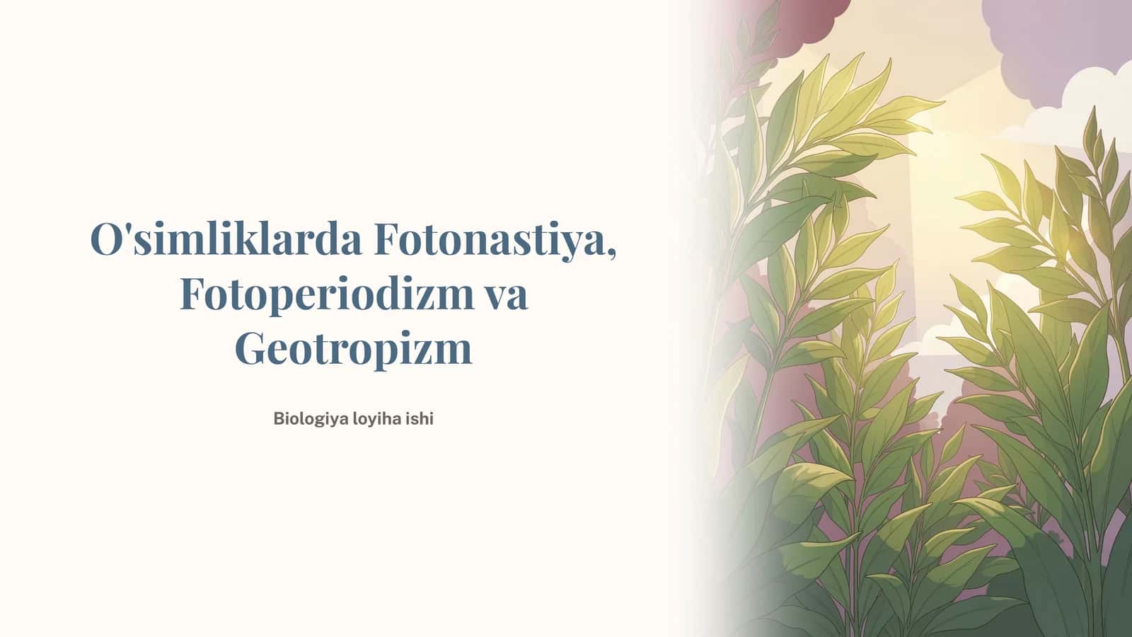 O'simliklarda Fotonastiya, Fotoperiodizm va Geotropizm