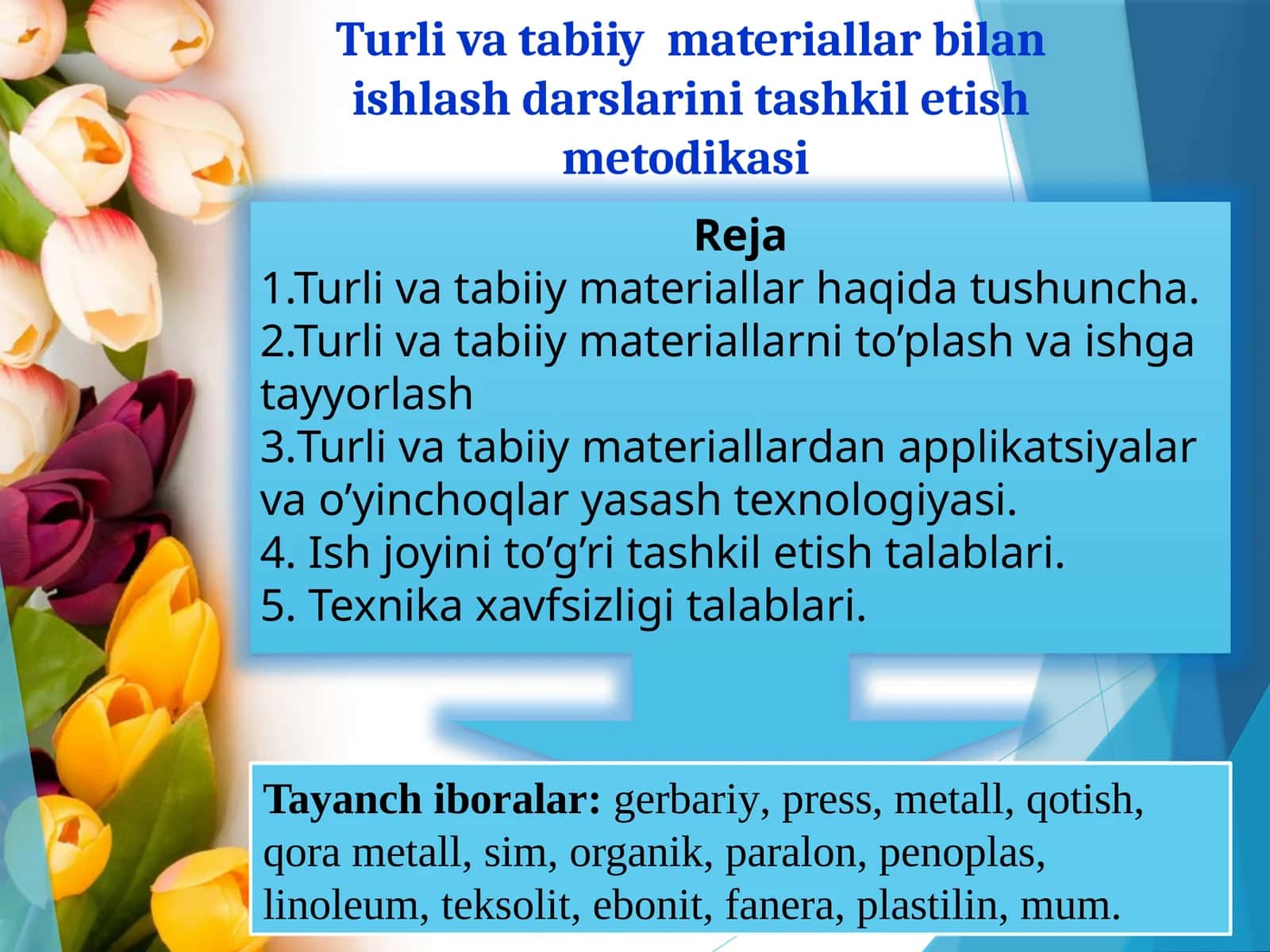 Turlivatabiiymateriallar bilan ishlash darslarini tashkil etish metodikasi