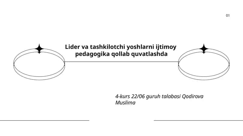 Lider va tashkilotchi yoshlarni ijtimoy pedagogika qollab quvatlashda