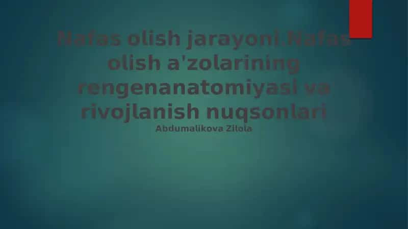 Nafas Olish Jarayonining Fiziologiyasi