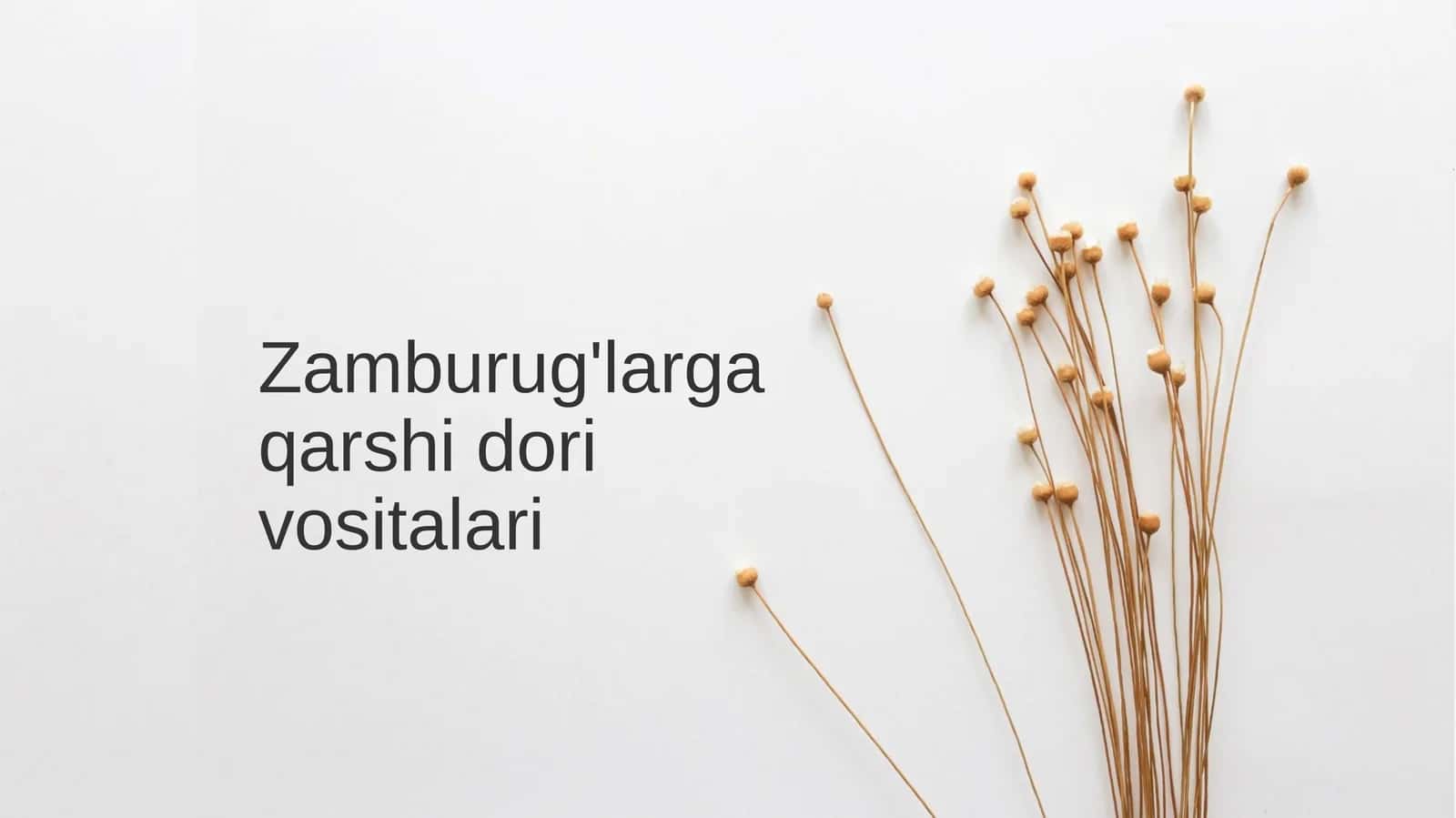 Zamburug'larga qarshi dorivorlari
