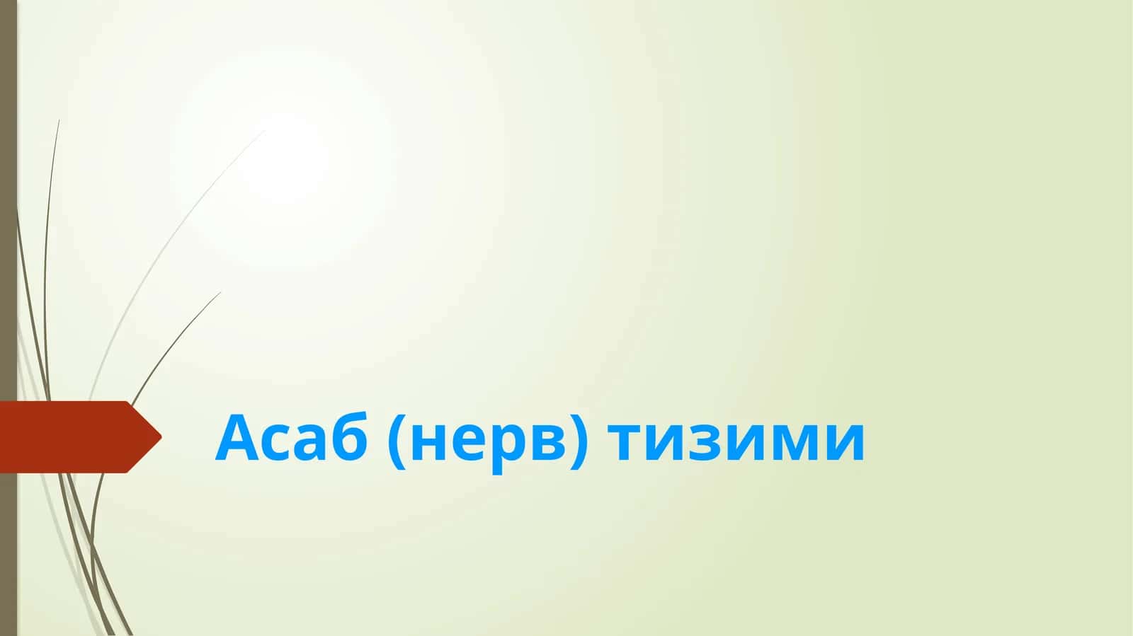 Асаб (нерв) тизими