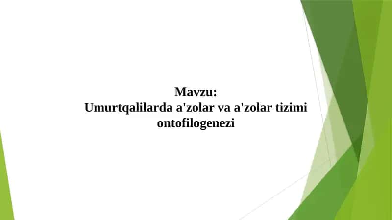 Umurtqalilarda a'zolar va zolartizimi ontogenzi