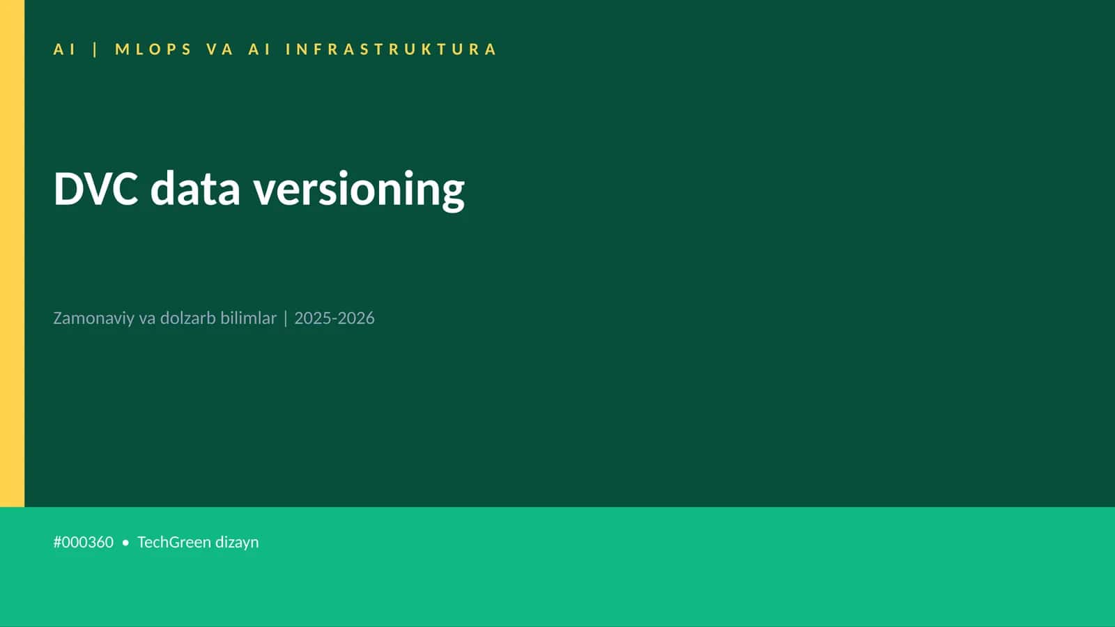 DVC data versioning