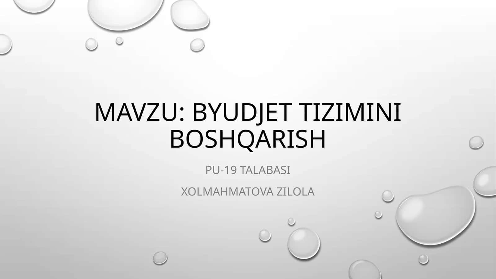 Byudjet tizimini boshqarish