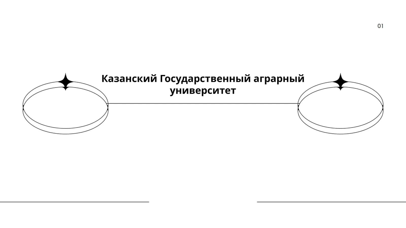 Казанский Государственный аграрный университет