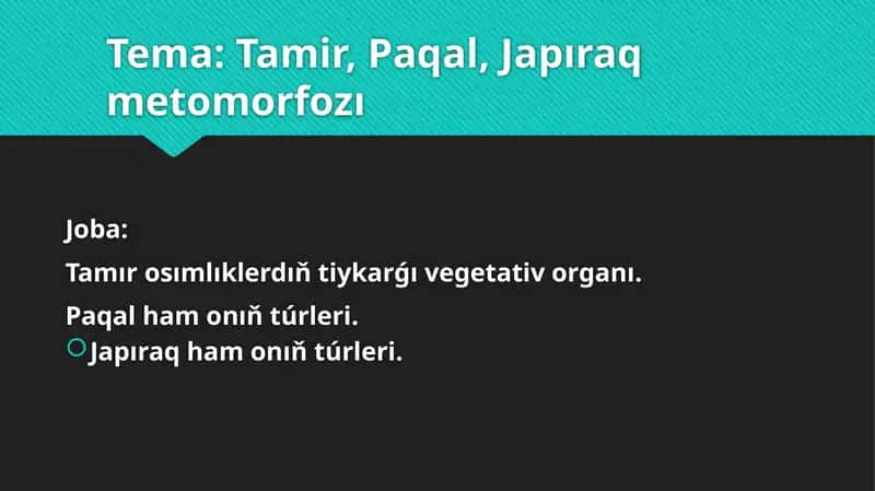 Tiykarǵı bas tamir