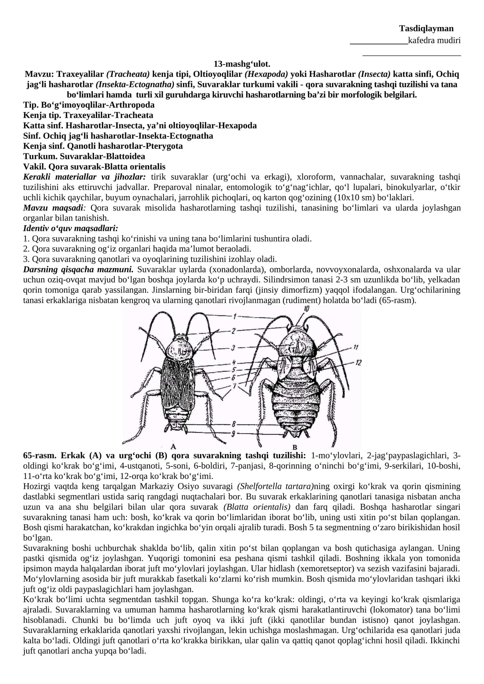 Suvaraklar (Blattoidea) va ularning taksonomik manbalari