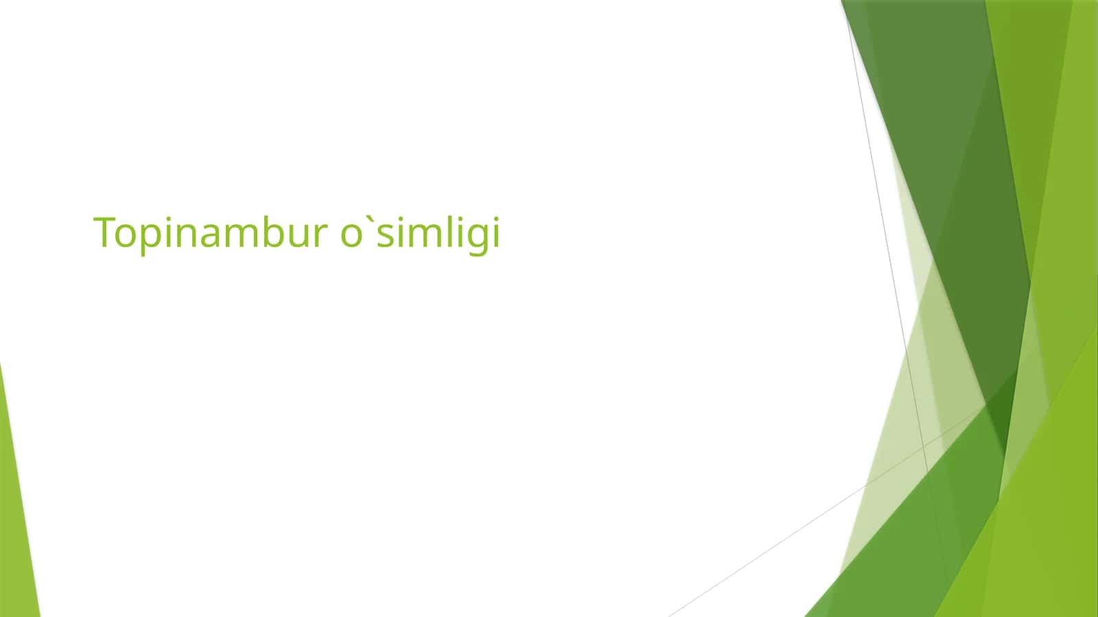 Topinambur o`simligi