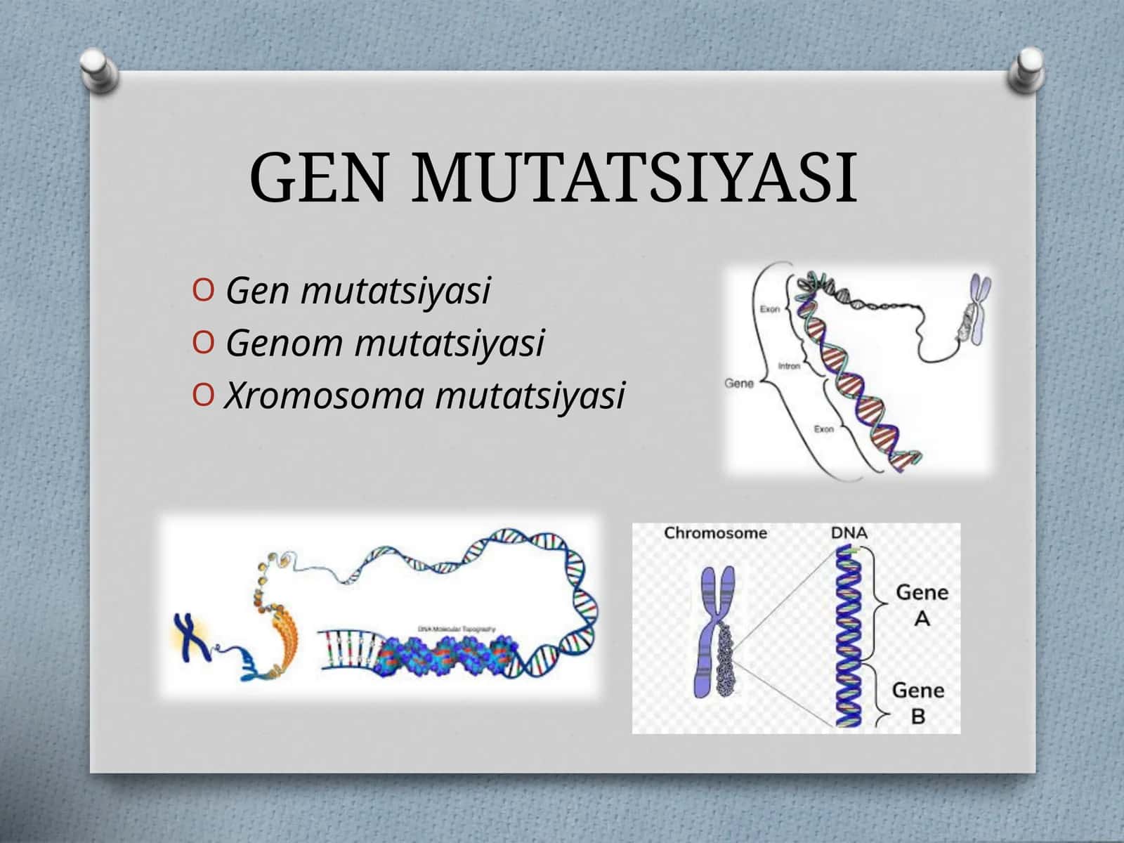 GEN MUTATSIYASI