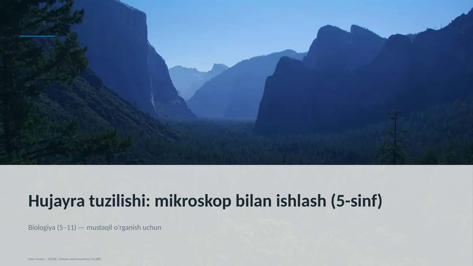 Hujayra tuzilishi: mikroskop bilan ishlash (5-sinf)