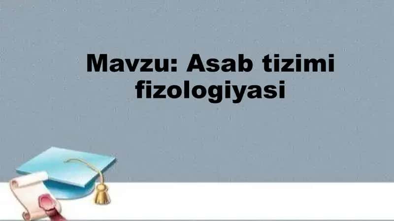 Asab tizimi fizologiyasi