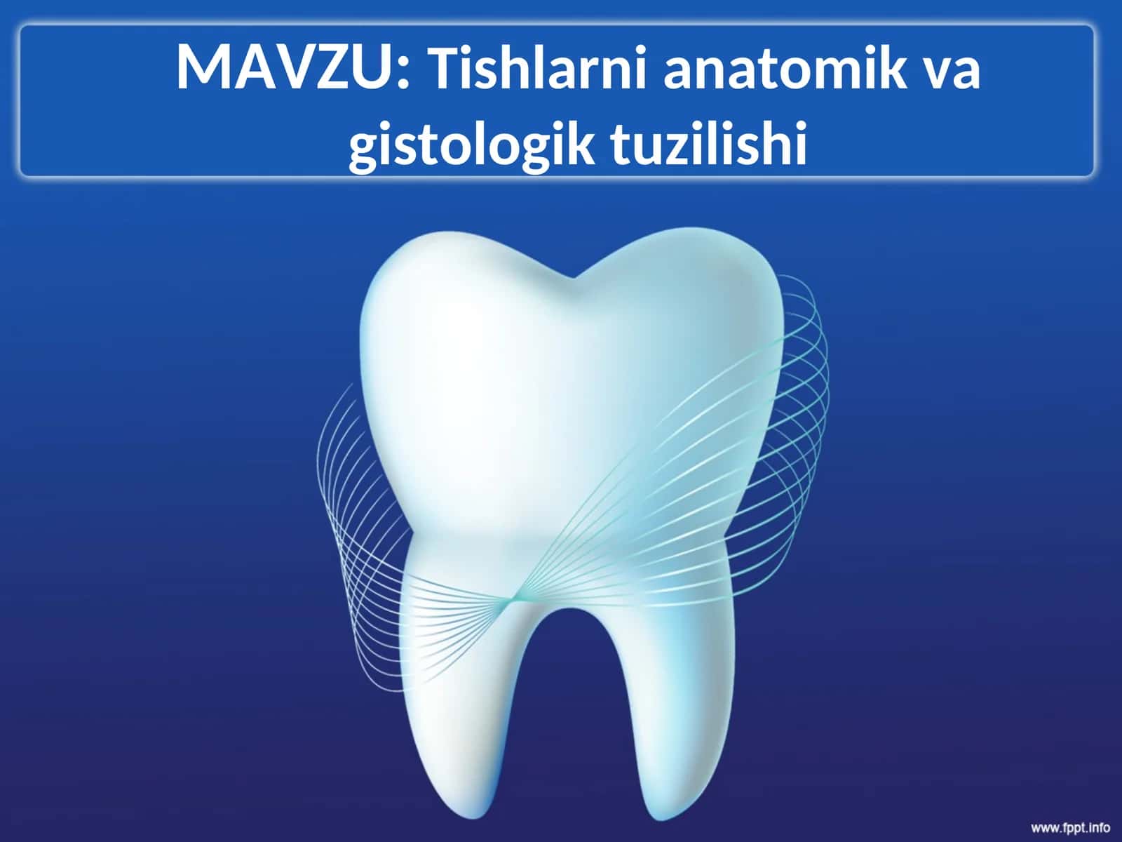 Tishlarni anatomik va gistologik tuzilishi
