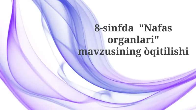 Nafasorganlari