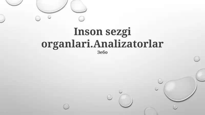 Analizatorlar