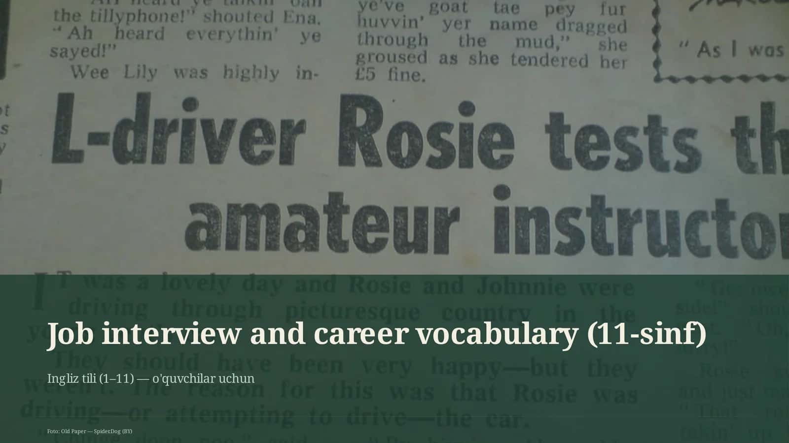 Job interview and career vocabulary (11-sinf)