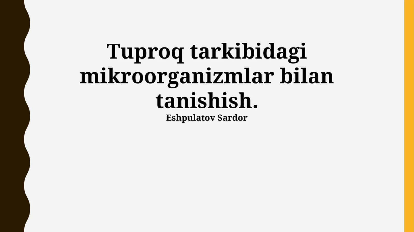 Tuproq Mikroorganizmlari