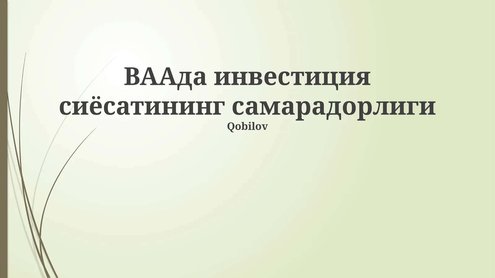 BAAда инвестиция сиёсатининг самарадорлиги