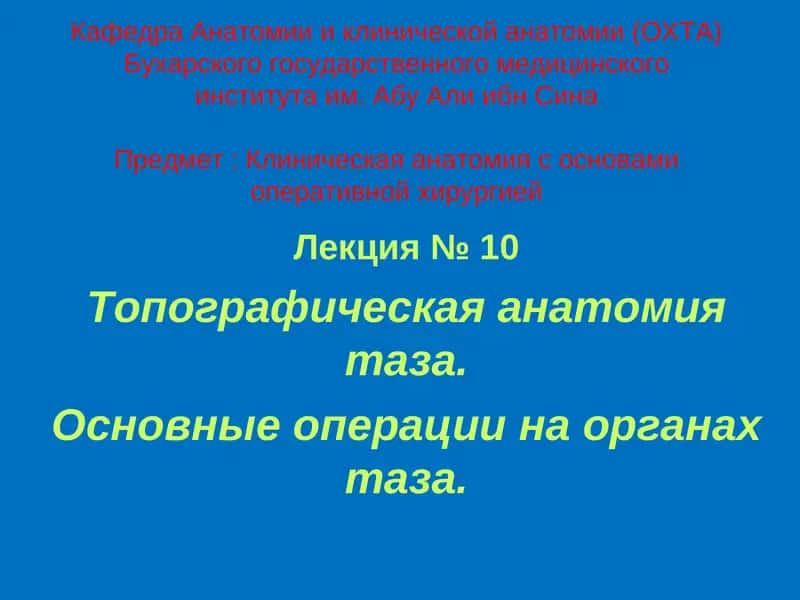 Топографическая анатомия таза