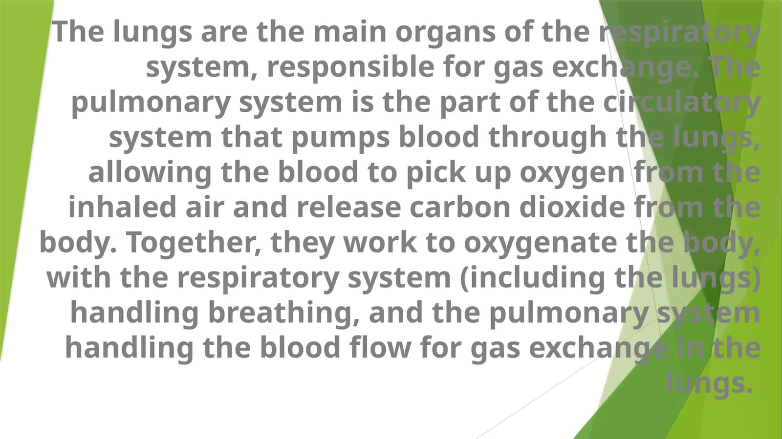 The Lungs and Pulmonary System