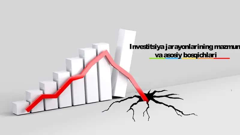 Investitsiya jarayonlarining mazmuni va asosiy bosqichlari