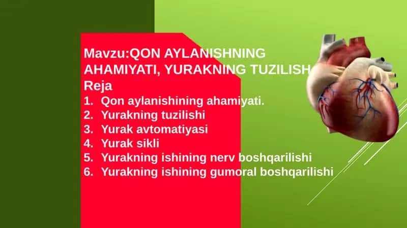QONAYLANISHNING AHAMIYATI, YURAKNING TUZILISH