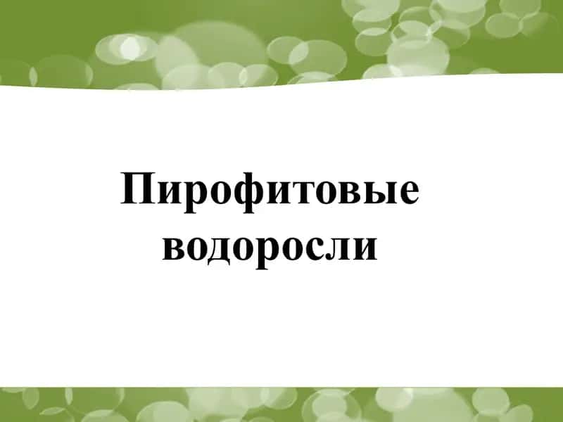 Пирофитовые водоросли