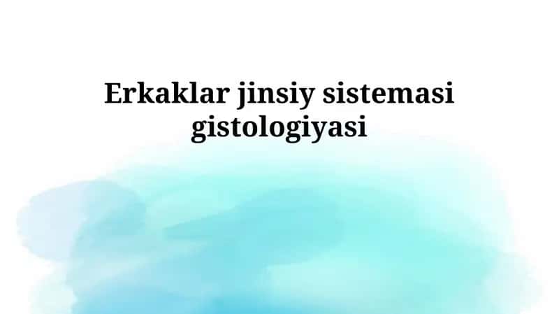 Erkaklar jinsiy sistemasi gistologiyasi