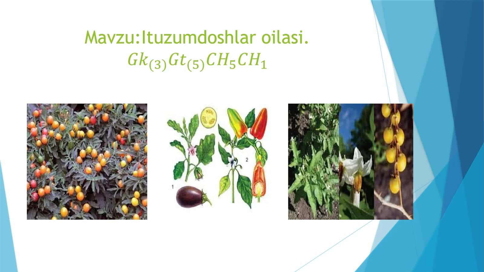 Qoraituzum