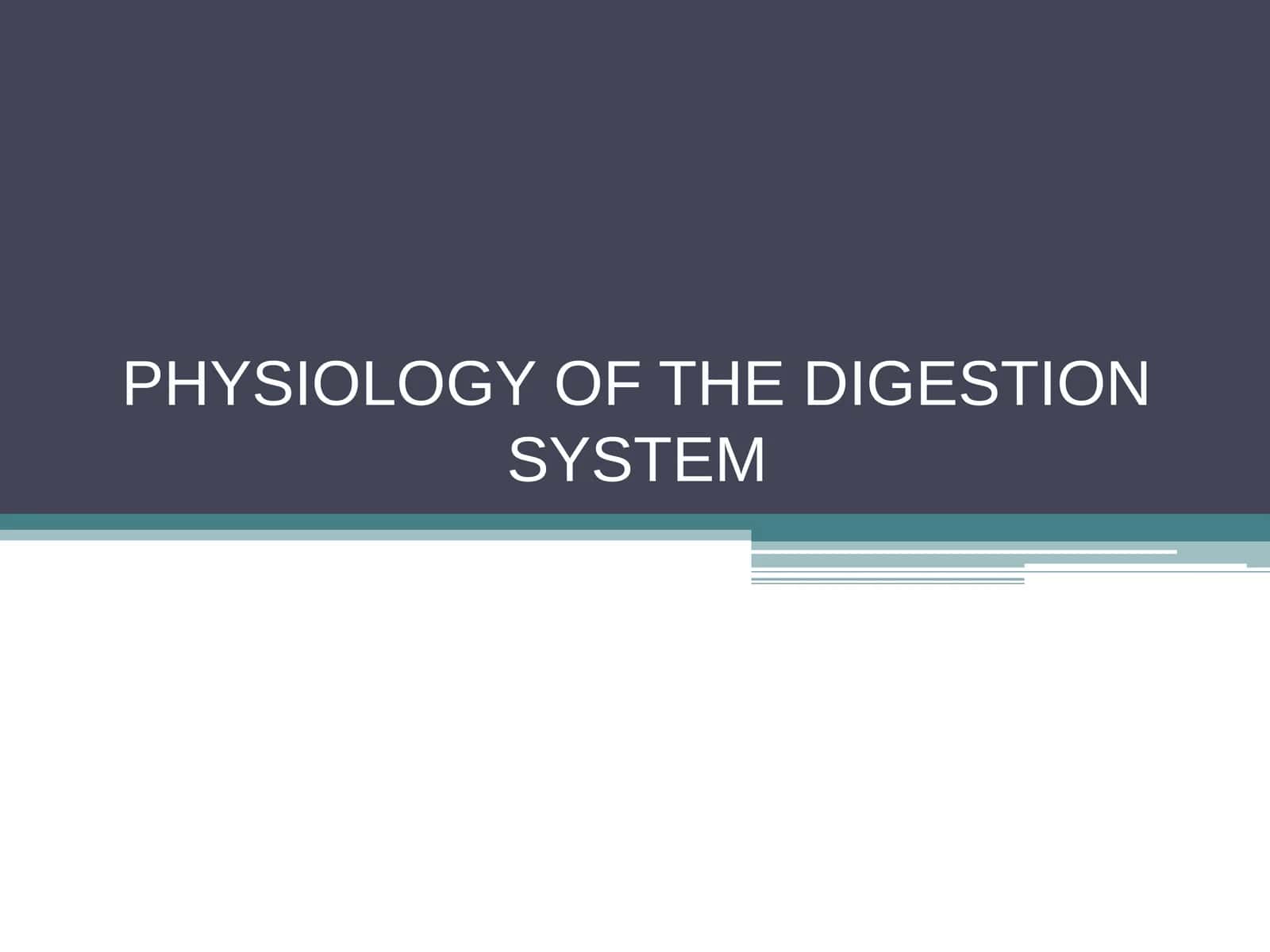 PHYSIOLOGY OF THE DIGESTION SYSTEM
