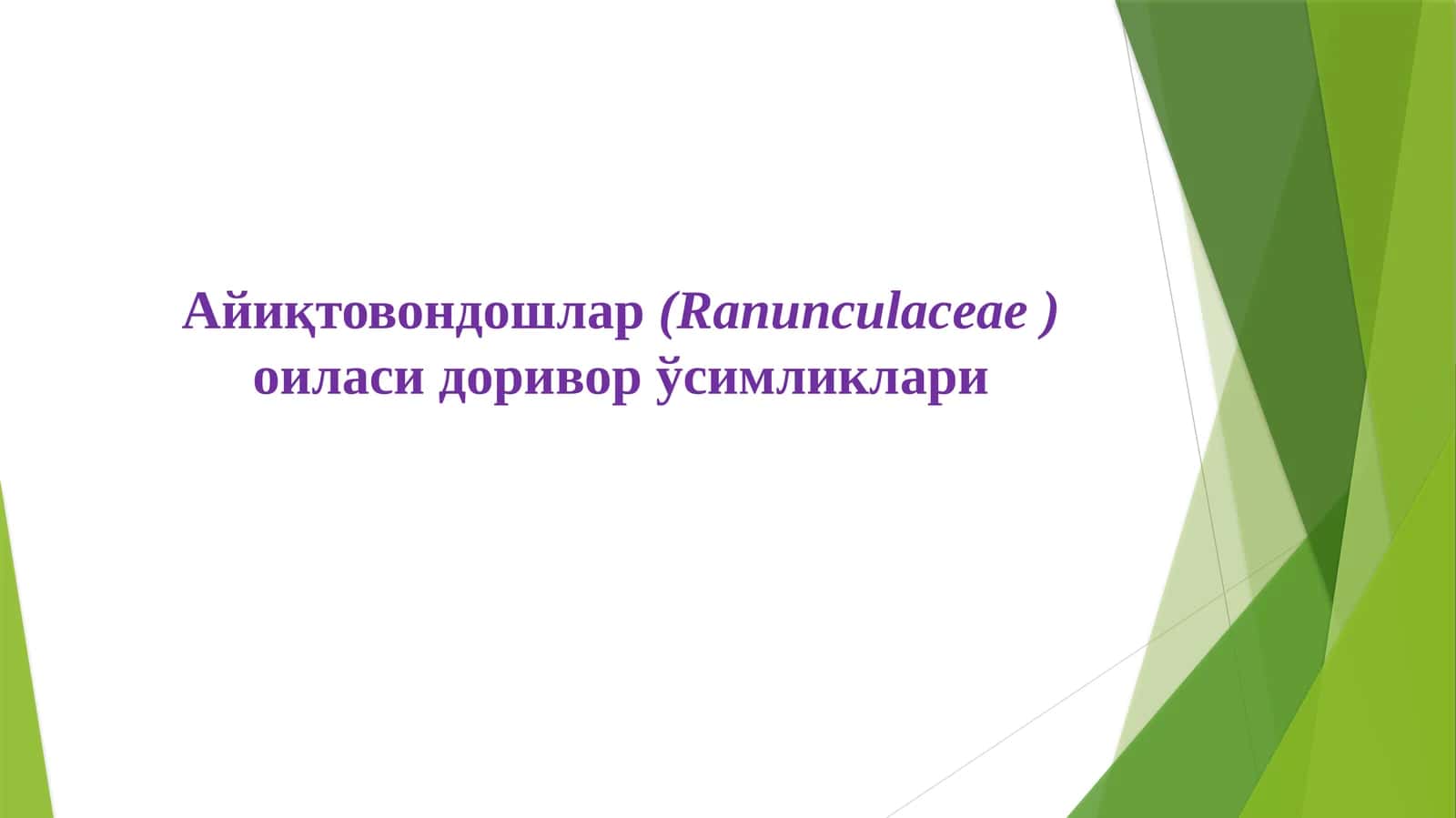 Айиқтовондошлар (Ranunculaceae) оиласи доривор ўсимликлари
