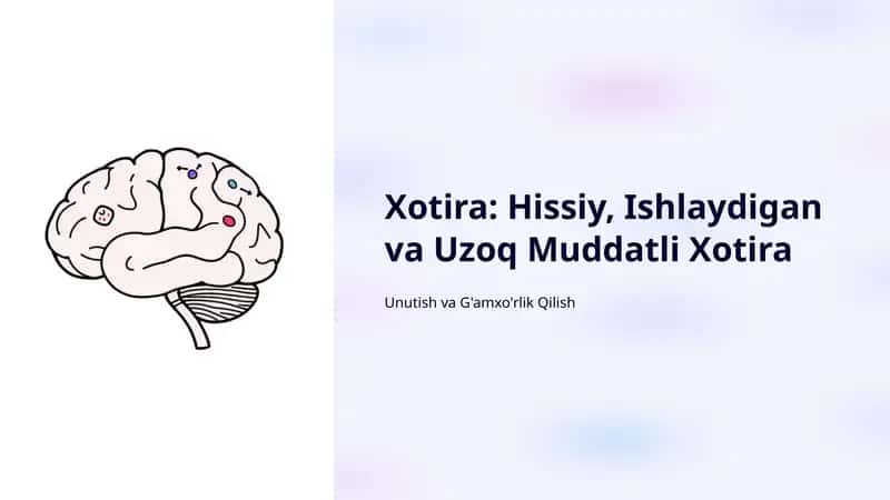 Xotira: Hissiy, Ishlaydigan va Uzoq Muddatli Xotira